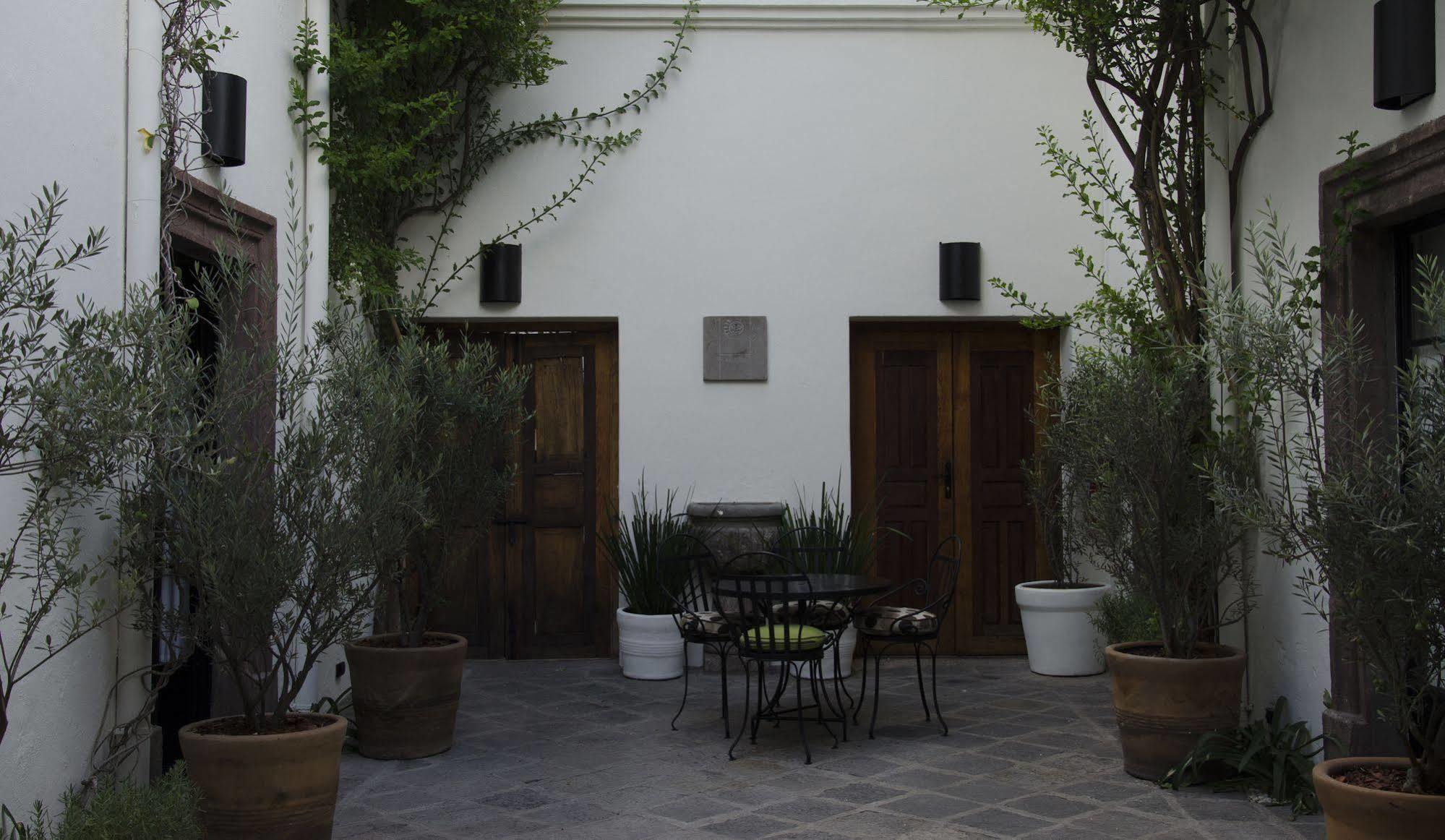 Casa De Los Olivos 圣米格尔－德阿连德 外观 照片