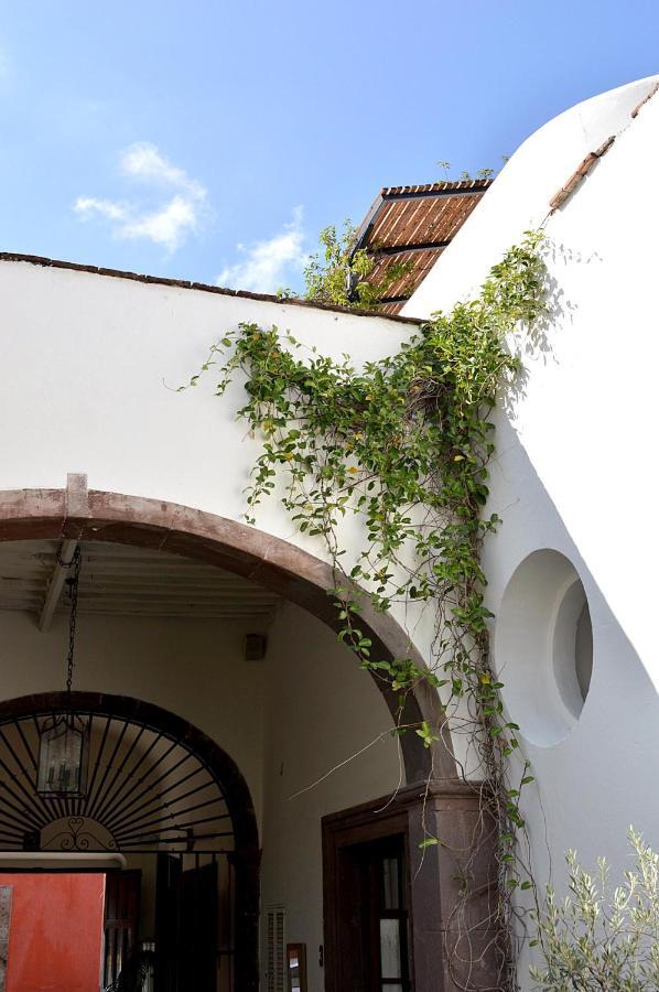 Casa De Los Olivos 圣米格尔－德阿连德 外观 照片