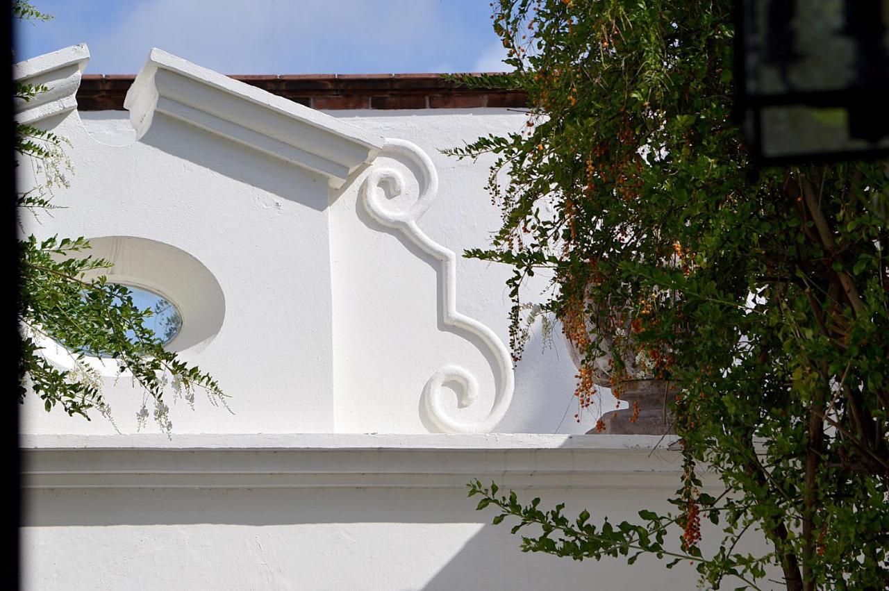 Casa De Los Olivos 圣米格尔－德阿连德 外观 照片