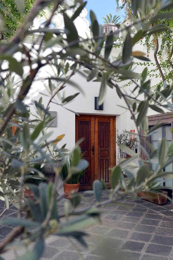 Casa De Los Olivos 圣米格尔－德阿连德 外观 照片